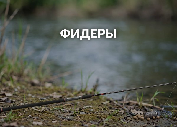 Фидеры