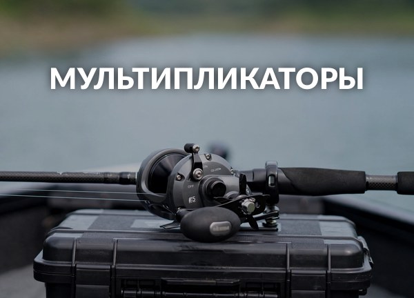Мультипликаторы
