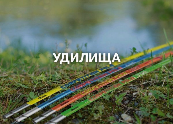 Удилища
