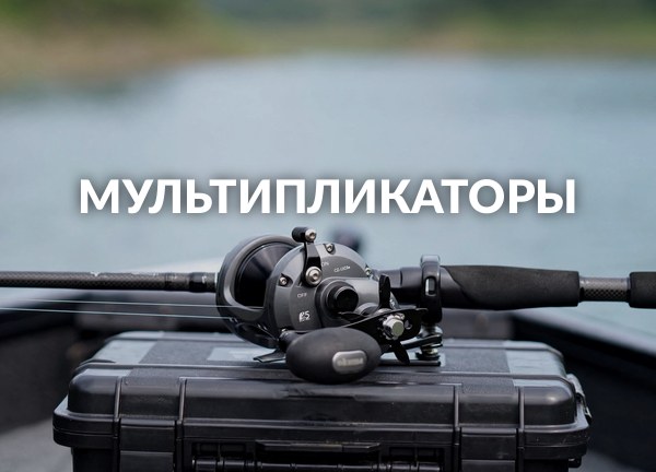 Мультипликаторы