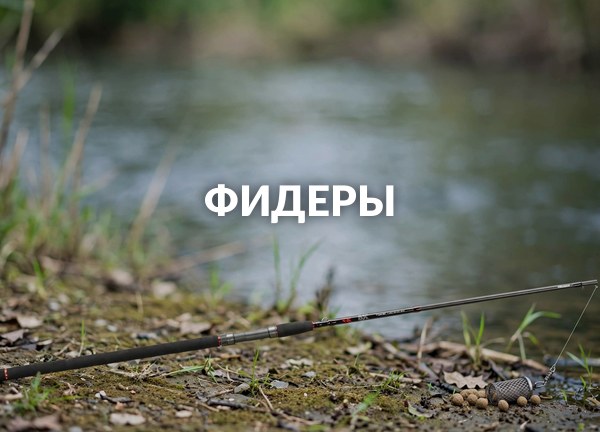 Фидеры