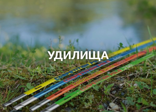 Удилища