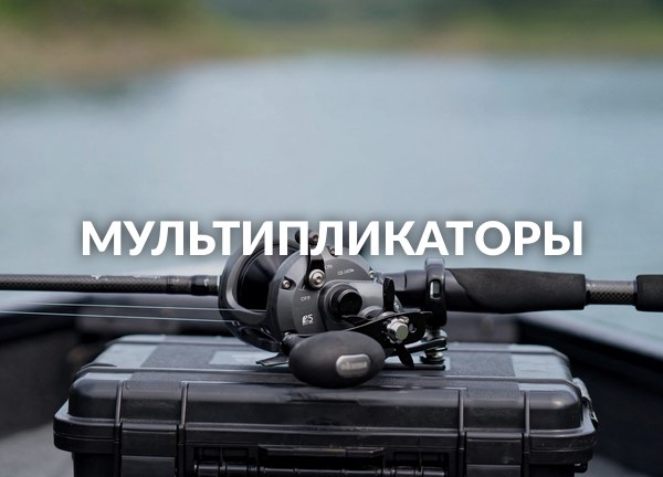 Мультипликаторы