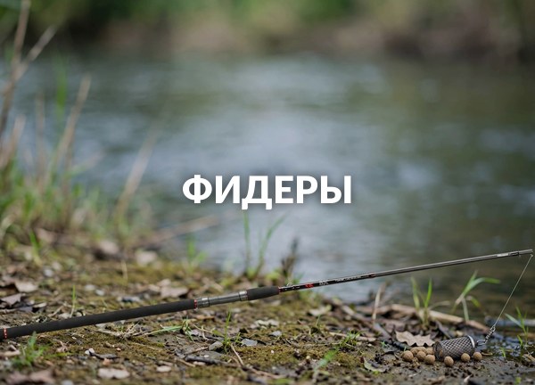 Фидеры